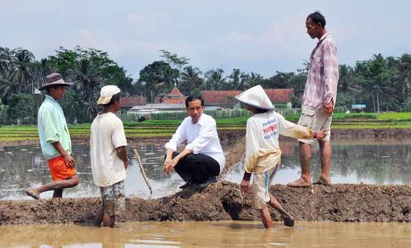 Cukong Penggilingan Abai Derita Petani dan Jeritan Konsumen